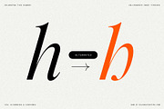 Netsera Calligraphic Serif Typeface, a Serif Font by SilverStag Type Foundry (Thumbnail 28 of 30)