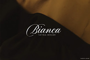 Notte Alexia, a Script Font by joelmaker (Thumbnail 10 of 25)