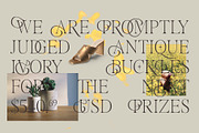 Doltcher Display Serif Typeface, a Serif Font by Designsation (Thumbnail 10 of 10)