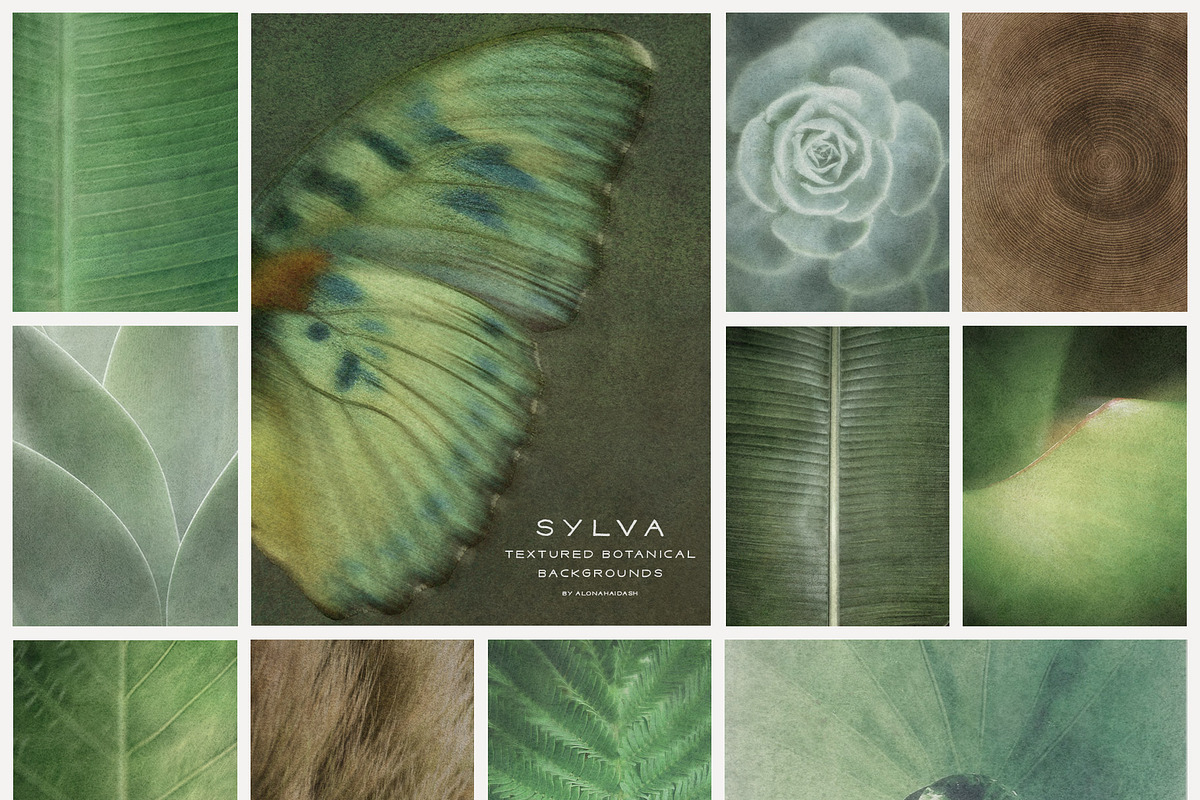 Sylva Textured Botanical Backgrounds, a Background Graphic by alonahaidash (Photo 8 of 15)
