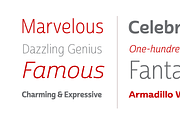 Cabrito Sans, a Sans Serif Font by insigne (Thumbnail 4 of 5)