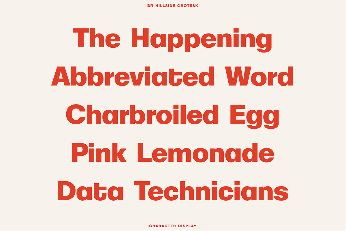 BN Hillside Grotesk, a Sans Serif Font by Bnick (Photo 11 of 14)