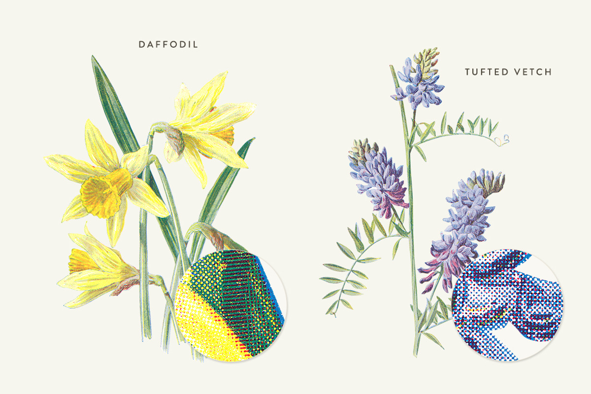 Vintage Flowers Vol.02 - Extra Large, an Illustration by Greta Ivy (Photo 4 of 16)