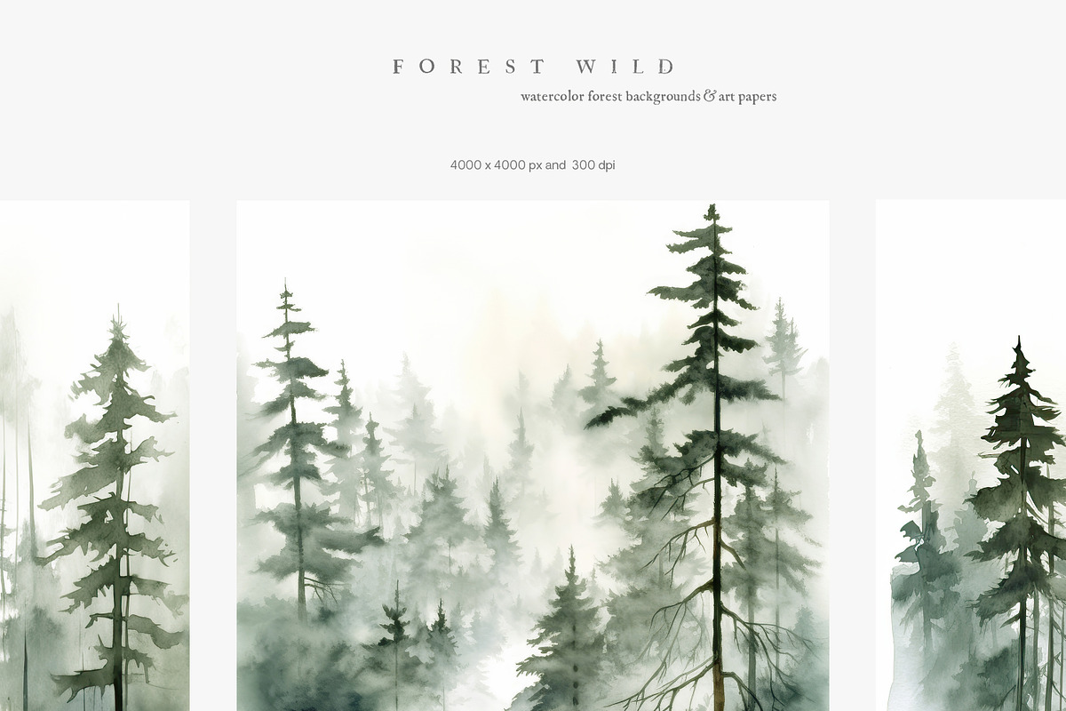 NEW! Late Summer Bundle, an Illustration by Isabelle Salem (Photo 64 of 216)
