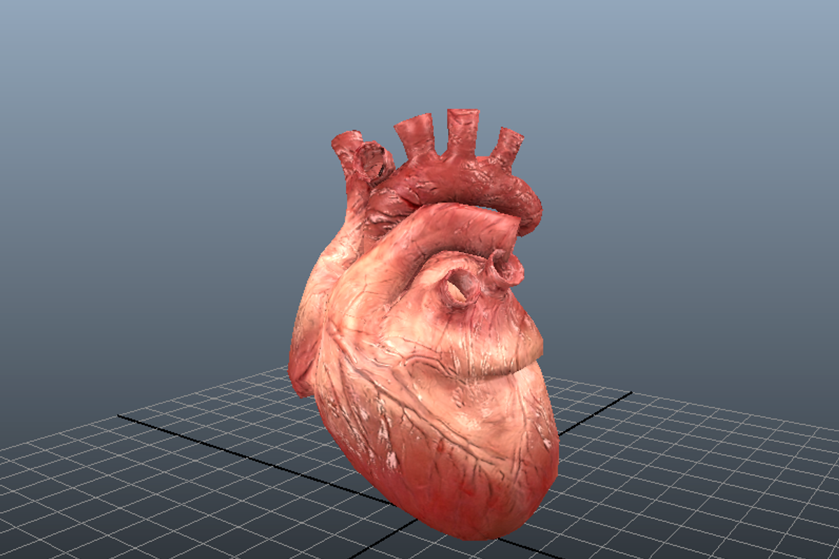 Animated Heart, a Characters & Person 3D Model by Tiger Shark Studios (Photo 1 of 3)