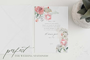 RoSA - Floral Clipart, an Illustration by The Autumn Rabbit Ltd (Thumbnail 3 of 14)