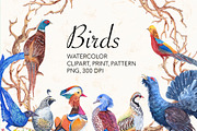 Watercolor forest birds., an Illustration by lilisavelieva (Thumbnail 1 of 5)