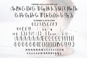 Babyish Script Font