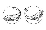 zen tangle animals and ornaments, a Decorative Illustration by Tierre3012 (Thumbnail 13 of 24)