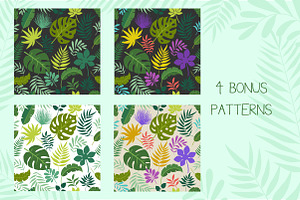 Tropical Set Bonus Patterns