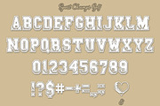 Sports Font Pack | Varsity Fonts, a Font by Anastasia Feya (Thumbnail 21 of 21)