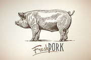 Pigs in graphical style, an Animal Illustration by Countryside life (Thumbnail 1 of 11)