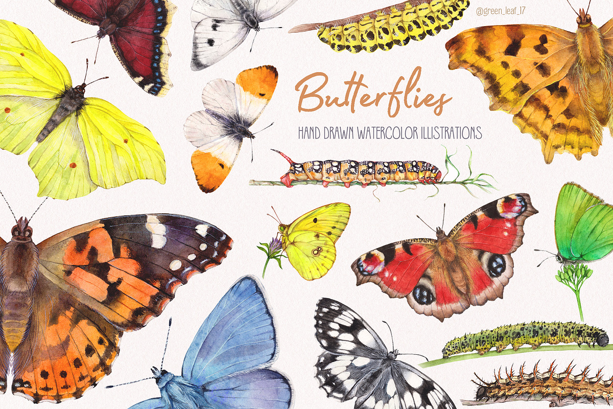 Watercolor butterflies, an Illustration by Green_leaf_17 (Photo 1 of 6)