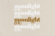 Shaqilla - modern serif, a Serif Font by ribethstudio (Thumbnail 5 of 15)