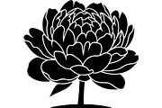 Peony Flower Silhouette, an Object Graphic by Designer_Momina (Thumbnail 14 of 18)