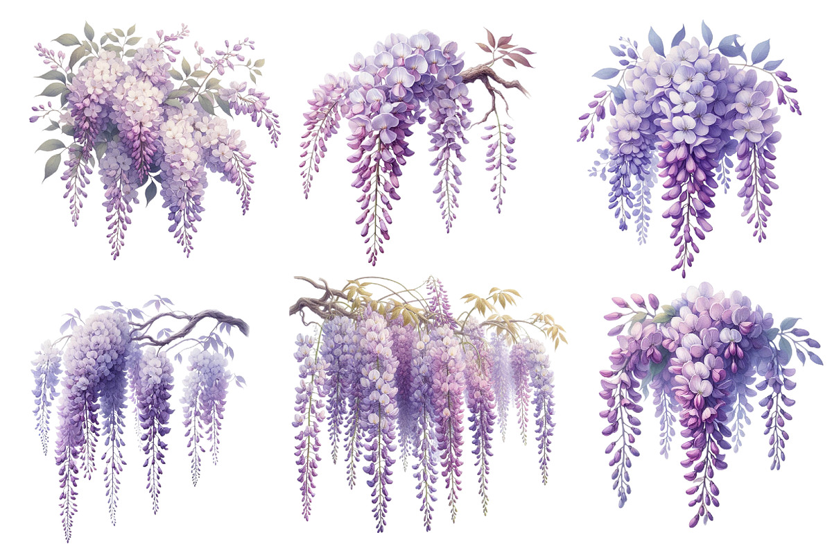 Wisteria Floral Garden Clipart, an Illustration by Designworld (Photo 3 of 5)