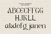 Acne - Modern Branding Typeface, a Serif Font by Sohel Studio (Thumbnail 11 of 11)