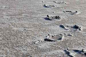 Footprints tracing a lonely path, a Person Photo by Schreibikus