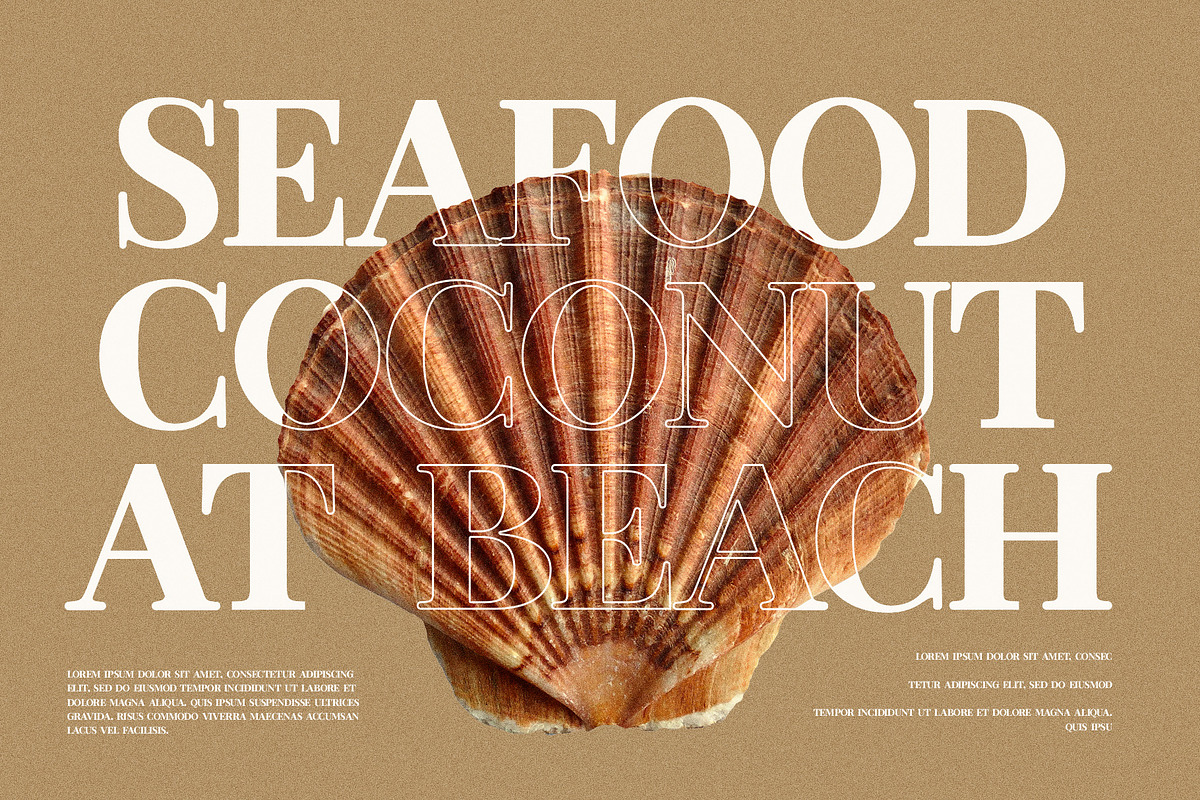 North Elegant Serif Font, a Serif Font by Perfectype (Photo 6 of 10)
