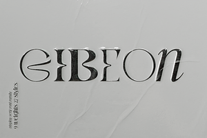 GIBEon Display Serif Family, a Serif Font by Ryul Davidson