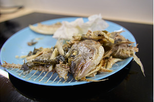 Dorado fish served on a plate with, a Food & Drink Photo by darksoul72