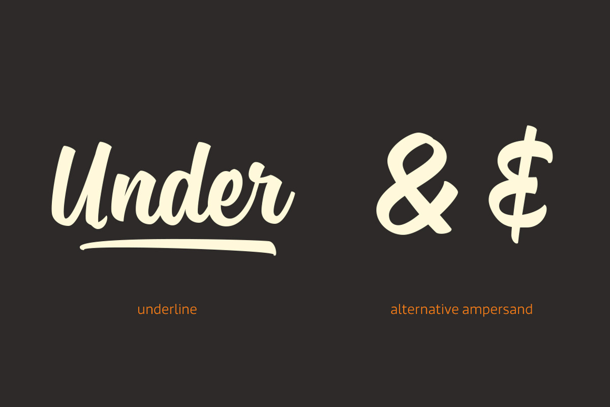 Sanelma, a Script Font by Mika Melvas (Photo 11 of 11)