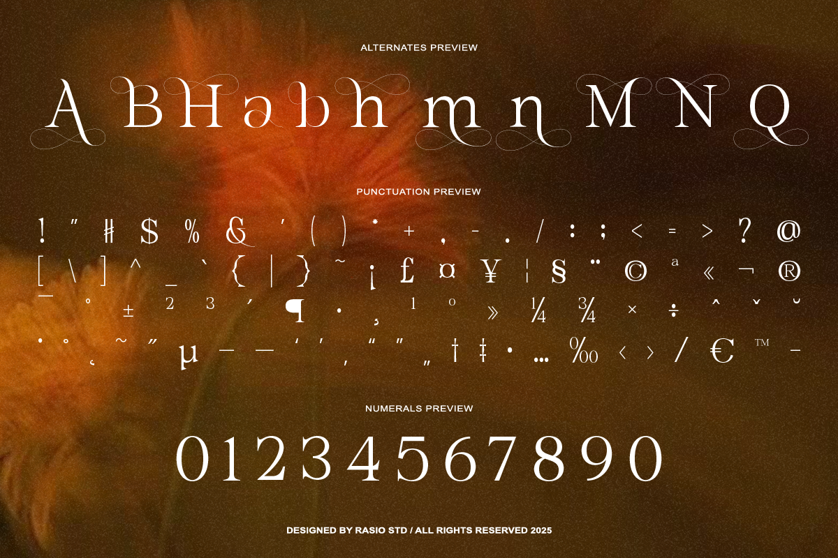 Belmora Elegant Luxury Serif Font, a Serif Font by Rasio Studio (Photo 3 of 10)