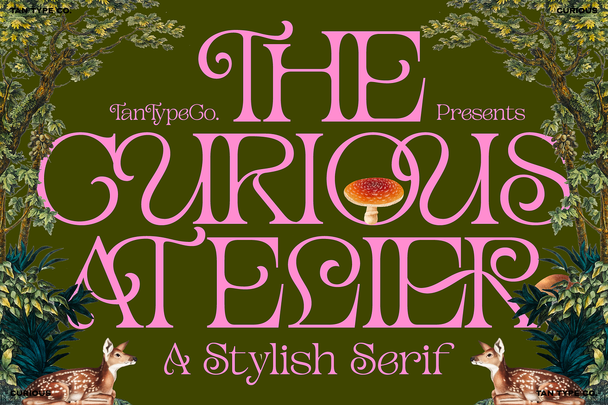 TAN - CURIOUS, a Serif Font by TanType (Photo 1 of 11)