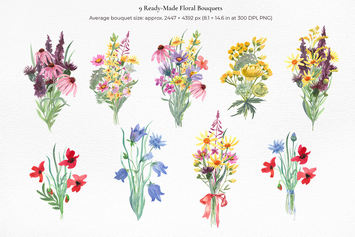 Wildflower Watercolor Collection, a Decorative Illustration by Anna Druzhkova (Photo 6 of 23)