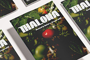 Karnel - Bold Minimalist Display, a Sans Serif Font by roomspace creative lab (Thumbnail 9 of 11)