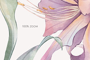 PURPLE LILIES watercolor flowers, a Decorative Illustration by Yuliia Lashevska (Thumbnail 7 of 14)