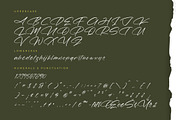 Marie Glachith Beautiful Script Font, a Script Font by Letterena Studios Script (Thumbnail 13 of 15)