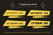 Lettering box. 8 Fonts & Extras!!!, a Script Font by Red Ink (Thumbnail 6 of 20)