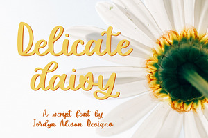 Delicate Daisy Script Font