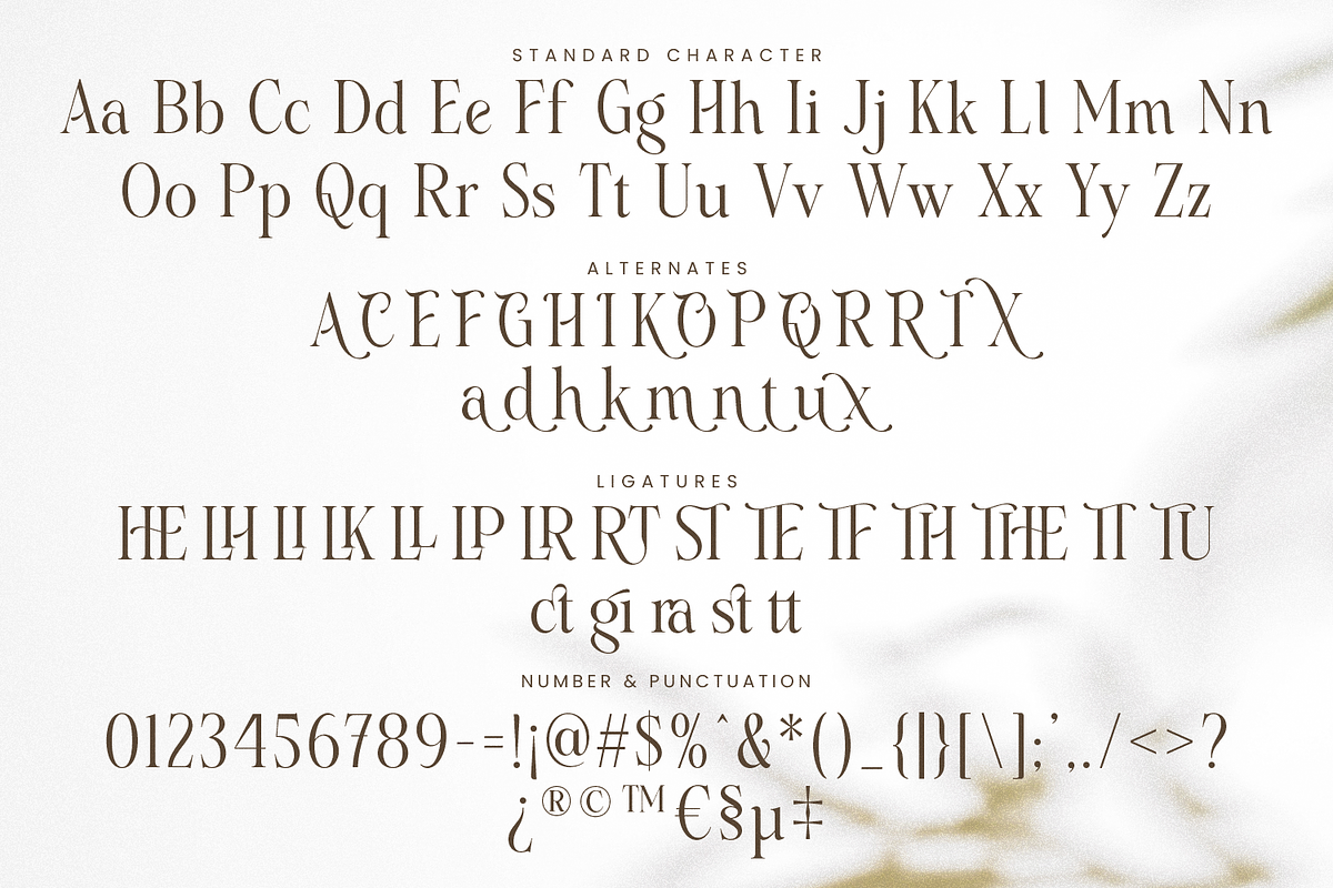 Cavalliera - Graceful Serif Typeface, a Serif Font by Dikas Studio (Photo 8 of 10)