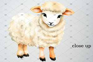 Watercolor Sheep Clipart, Lamb Png