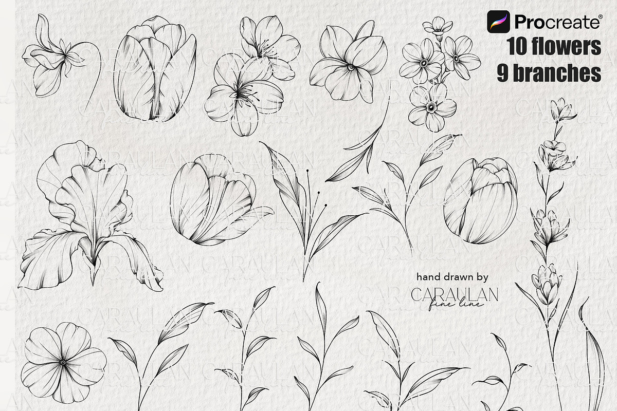 FineLine Floral Stamps for Procreate, a Brush Add-On by CaraulanStore (Photo 3 of 9)