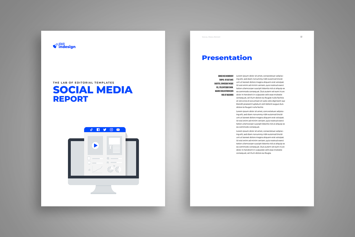 Social Media Report Template, a Brochure Template by StockInDesign (Photo 2 of 11)