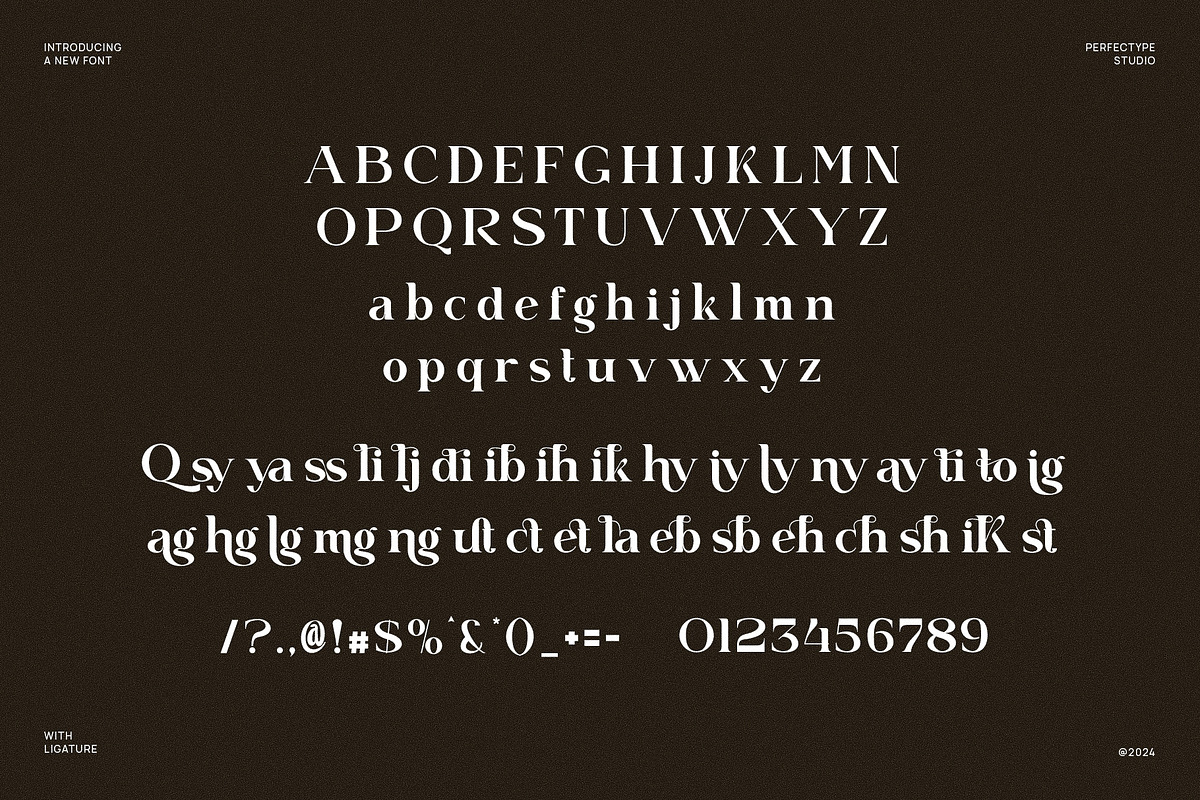 Qaiken Elegant Ligature Serif Font, a Serif Font by Perfectype (Photo 6 of 6)
