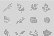 Leaf Tones Vol. 5 | Stippled Flora, an Illustration by invisiblelayer (Thumbnail 2 of 5)