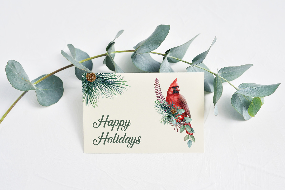 Winter Birds Watercolor Clipart, an Animal Illustration by AnitaPol (Photo 14 of 14)
