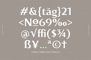 Montier Elegant Display, a Sans Serif Font by Glowtype (Thumbnail 2 of 15)