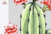 Cactus Watercolor Clipart. Succulent, a Decorative Illustration by BarvArt (Thumbnail 4 of 5)