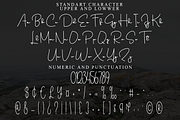 Calligraphy Present, a Handwritten Font by FreshTypeINK (Thumbnail 7 of 8)