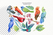 Watercolor Birds Clipart, an Animal Illustration by OllyKo Art (Thumbnail 3 of 7)