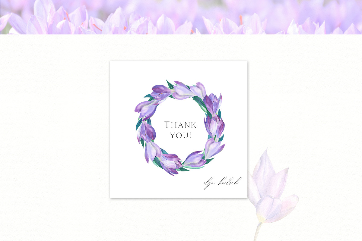 Spring Crocus Flowers Watercolor set, an Illustration by Olga Koelsch (Photo 8 of 8)