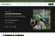 Environment Showit Website Template, a WordPress Template by Studio Humankind (Thumbnail 15 of 20)