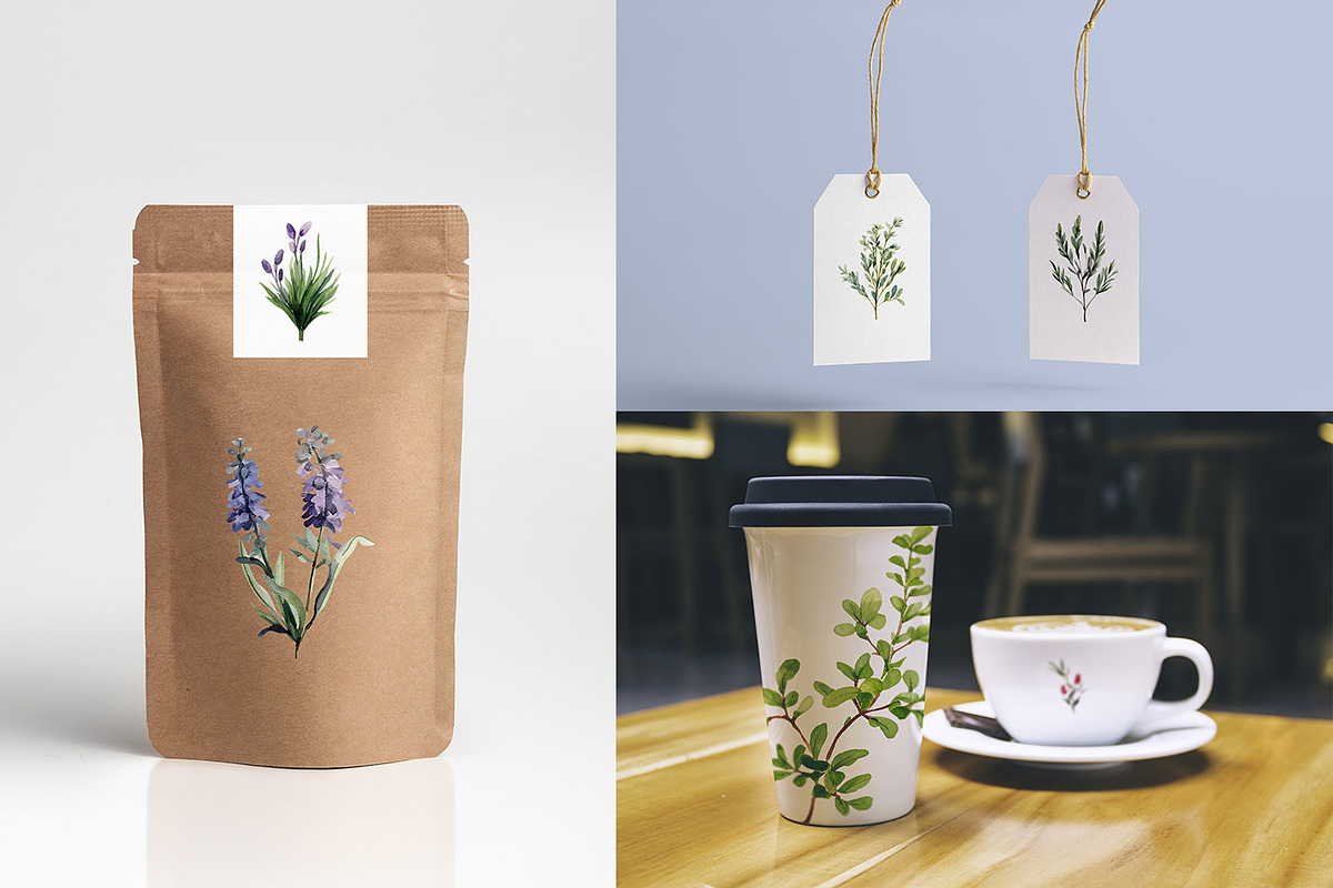 Watercolor Herbs Clipart, a Decorative Illustration by MuzaArtStudio (Photo 6 of 7)