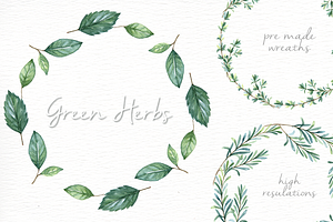 Green Herbs Watercolor Clipart