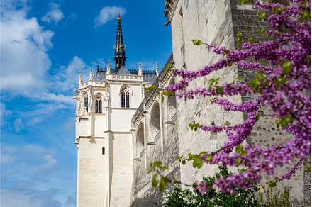 Chateau of Amboise during springtime